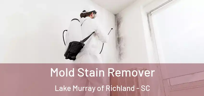 Mold Stain Remover Lake Murray of Richland - SC