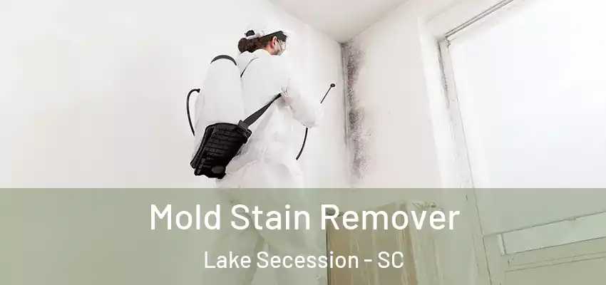  Mold Stain Remover Lake Secession - SC