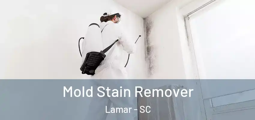  Mold Stain Remover Lamar - SC