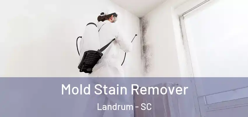  Mold Stain Remover Landrum - SC