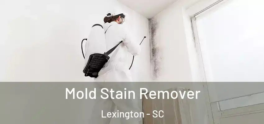  Mold Stain Remover Lexington - SC
