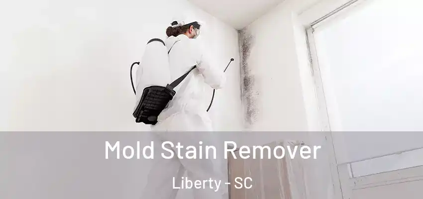  Mold Stain Remover Liberty - SC
