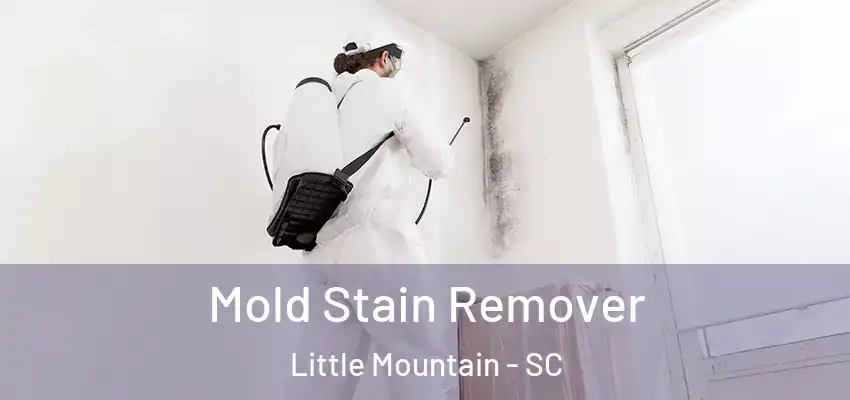 Mold Stain Remover Little Mountain - SC