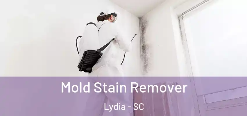 Mold Stain Remover Lydia - SC