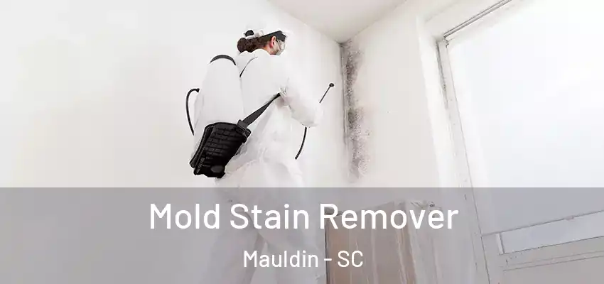  Mold Stain Remover Mauldin - SC
