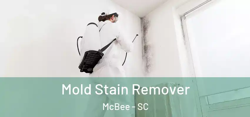  Mold Stain Remover McBee - SC