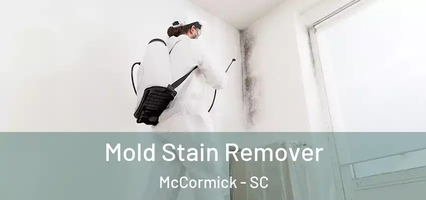  Mold Stain Remover McCormick - SC