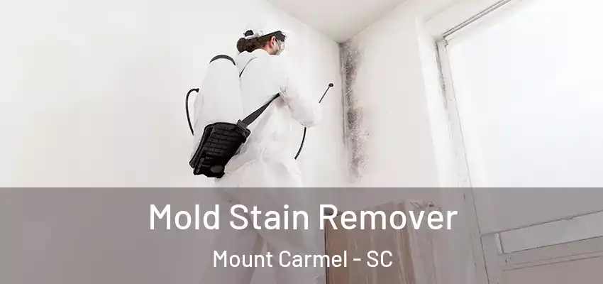  Mold Stain Remover Mount Carmel - SC