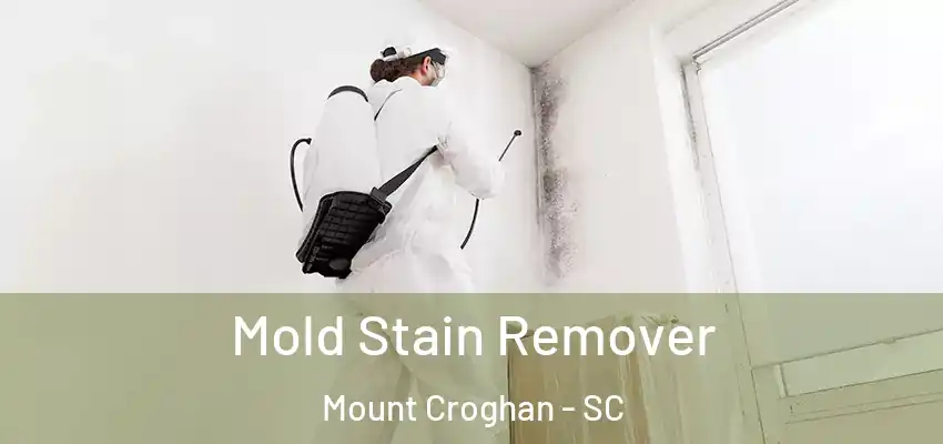  Mold Stain Remover Mount Croghan - SC