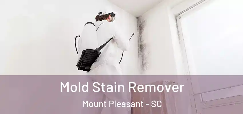  Mold Stain Remover Mount Pleasant - SC