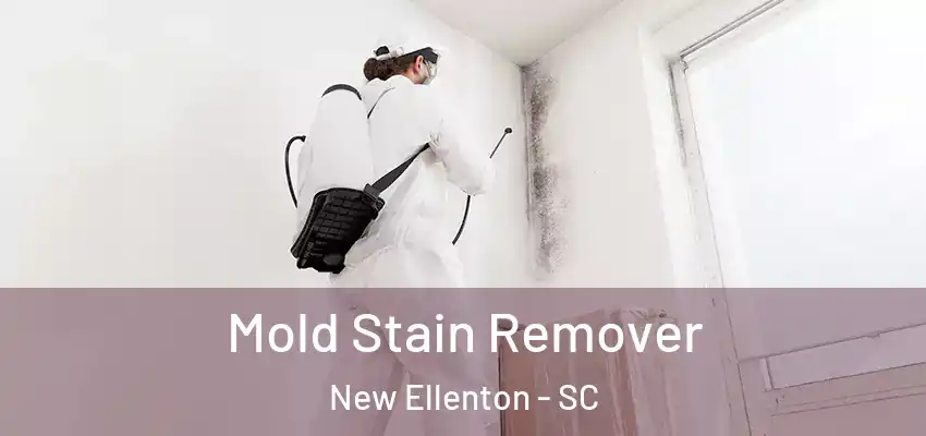 Mold Stain Remover New Ellenton - SC