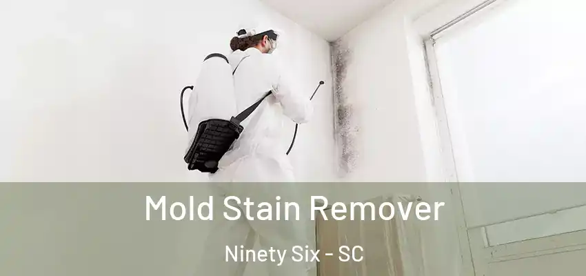  Mold Stain Remover Ninety Six - SC