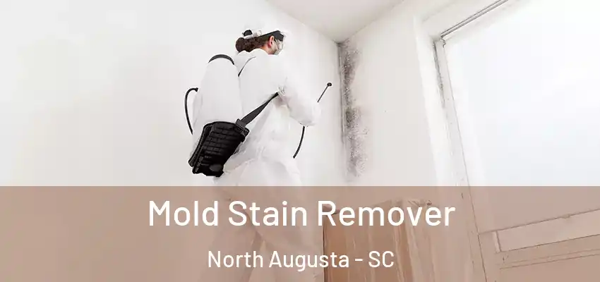  Mold Stain Remover North Augusta - SC