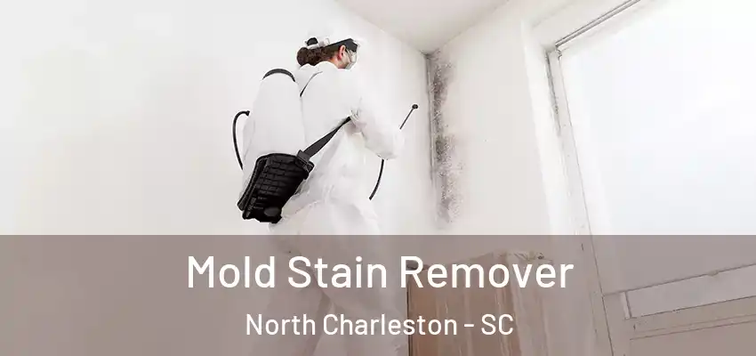  Mold Stain Remover North Charleston - SC