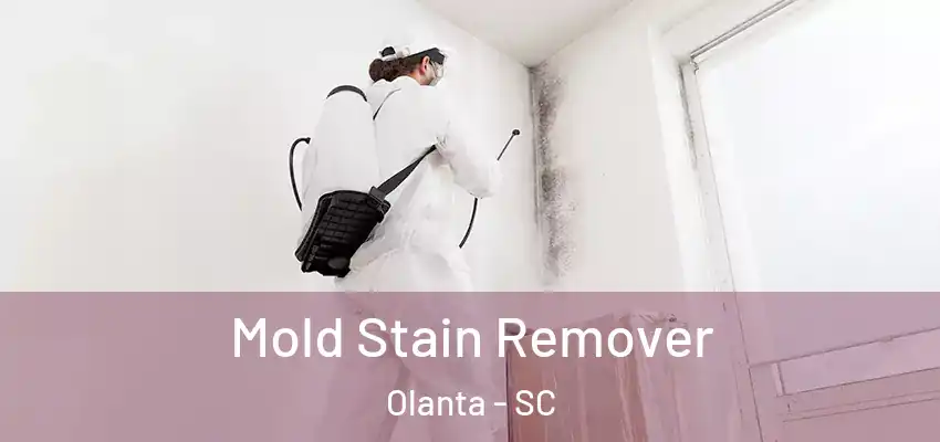 Mold Stain Remover Olanta - SC