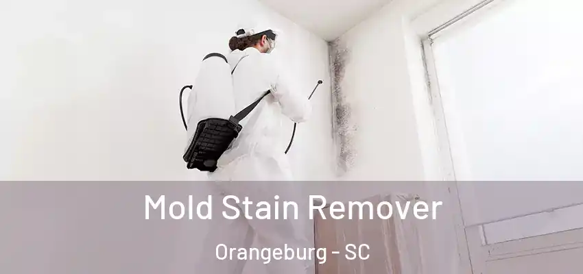 Mold Stain Remover Orangeburg - SC