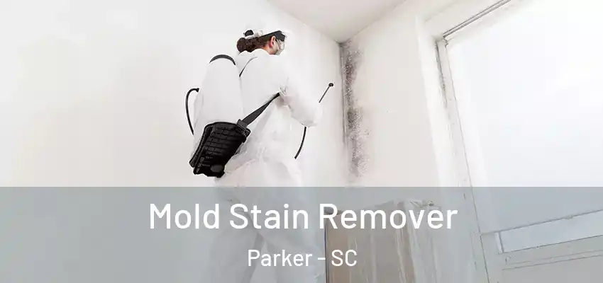 Mold Stain Remover Parker - SC