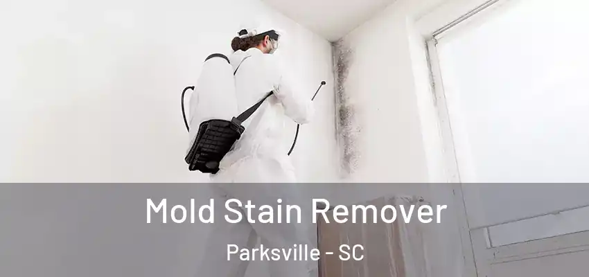 Mold Stain Remover Parksville - SC
