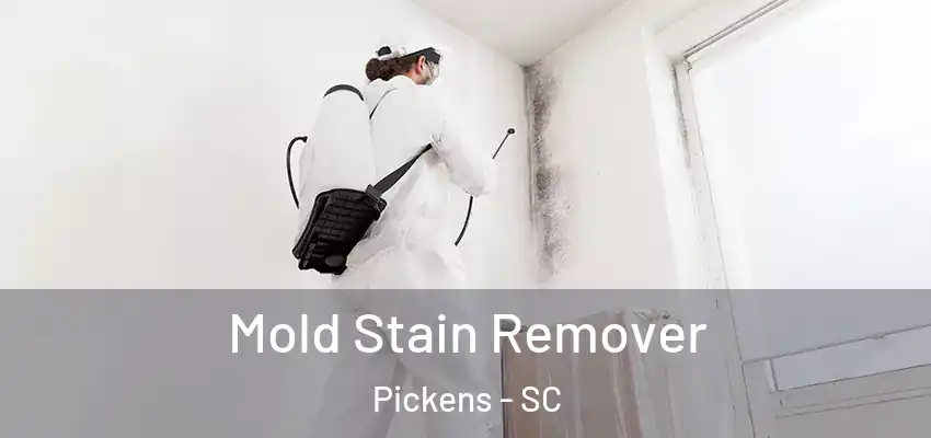  Mold Stain Remover Pickens - SC
