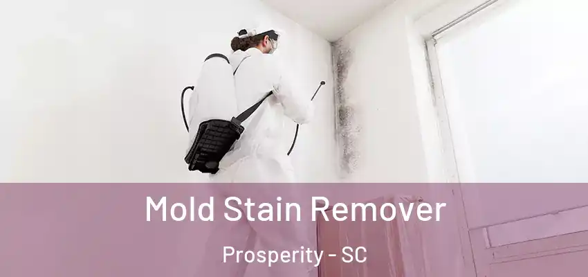  Mold Stain Remover Prosperity - SC