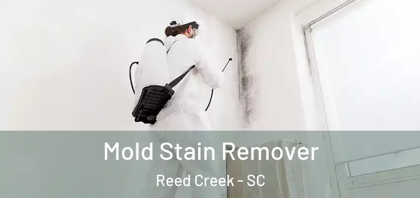  Mold Stain Remover Reed Creek - SC