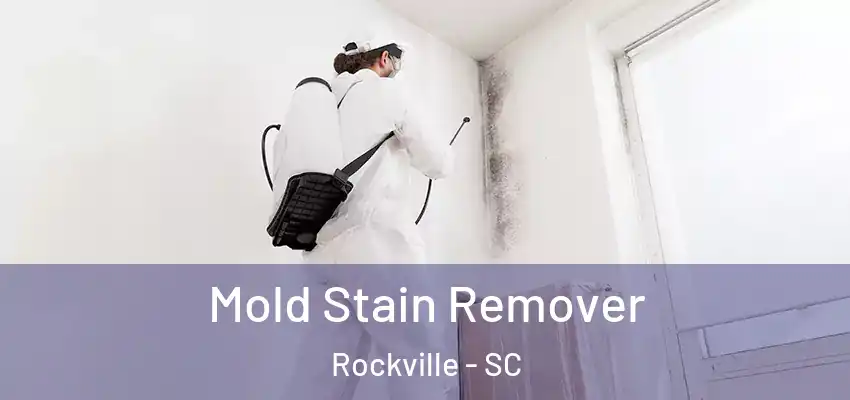 Mold Stain Remover Rockville - SC