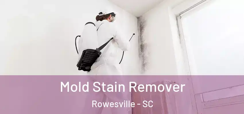 Mold Stain Remover Rowesville - SC