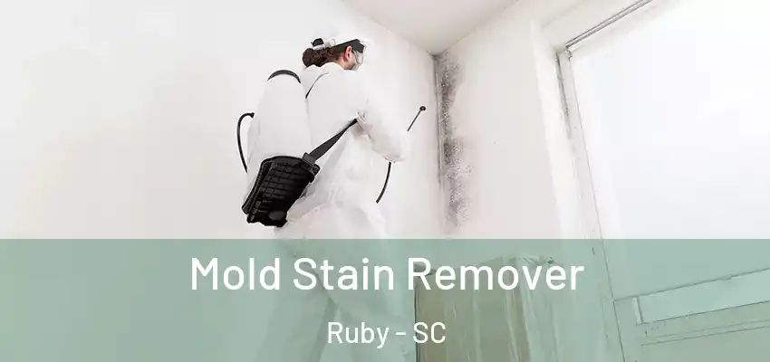  Mold Stain Remover Ruby - SC