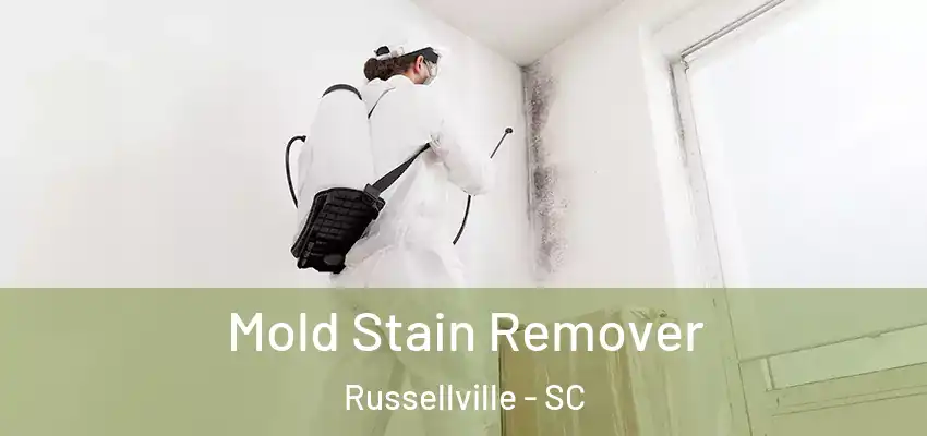  Mold Stain Remover Russellville - SC