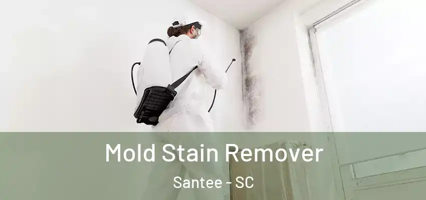  Mold Stain Remover Santee - SC