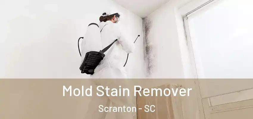  Mold Stain Remover Scranton - SC