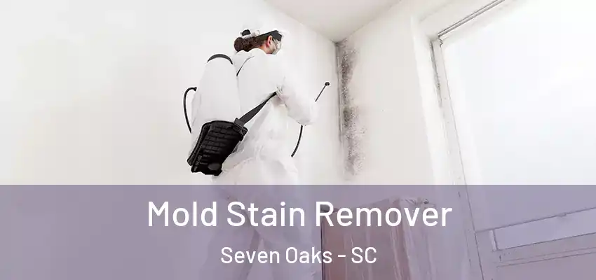 Mold Stain Remover Seven Oaks - SC