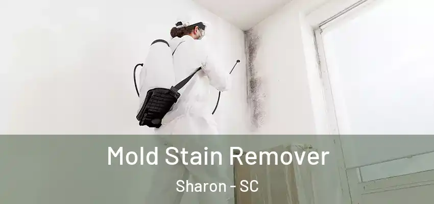  Mold Stain Remover Sharon - SC