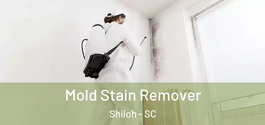  Mold Stain Remover Shiloh - SC