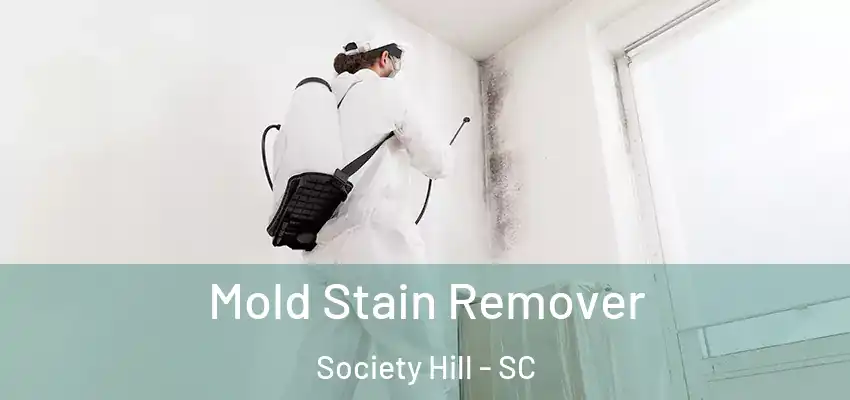  Mold Stain Remover Society Hill - SC