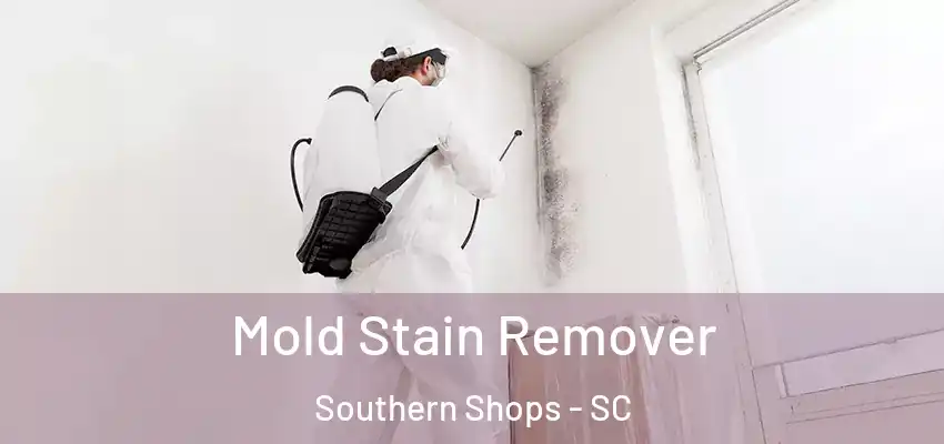  Mold Stain Remover Southern Shops - SC