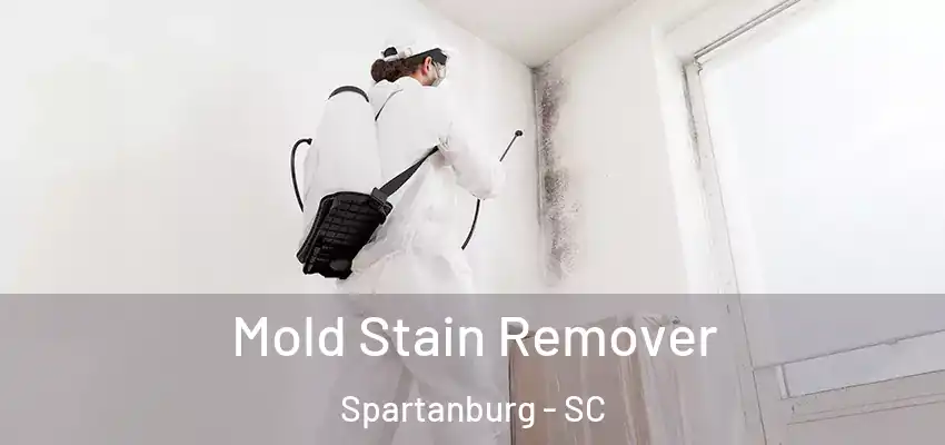  Mold Stain Remover Spartanburg - SC