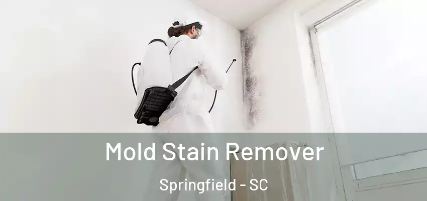 Mold Stain Remover Springfield - SC