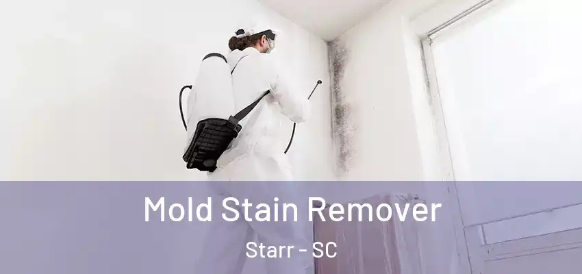 Mold Stain Remover Starr - SC