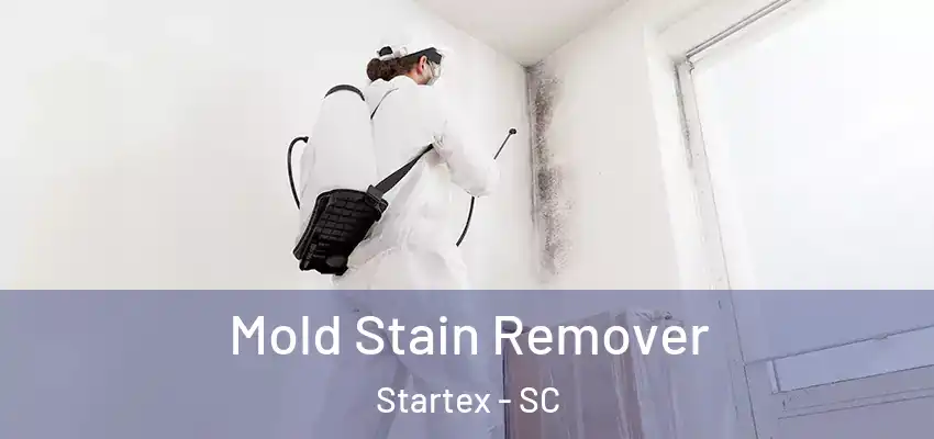Mold Stain Remover Startex - SC