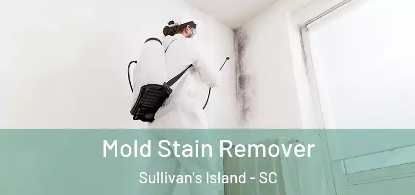  Mold Stain Remover Sullivan's Island - SC