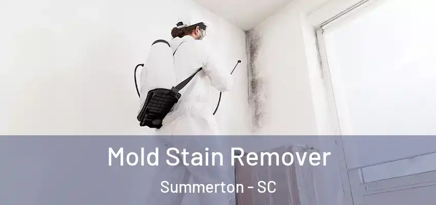  Mold Stain Remover Summerton - SC