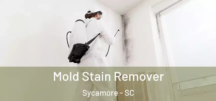  Mold Stain Remover Sycamore - SC
