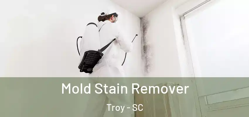  Mold Stain Remover Troy - SC