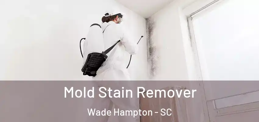 Mold Stain Remover Wade Hampton - SC