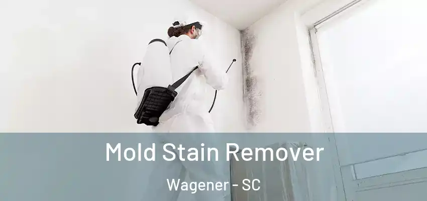  Mold Stain Remover Wagener - SC