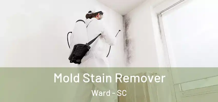  Mold Stain Remover Ward - SC