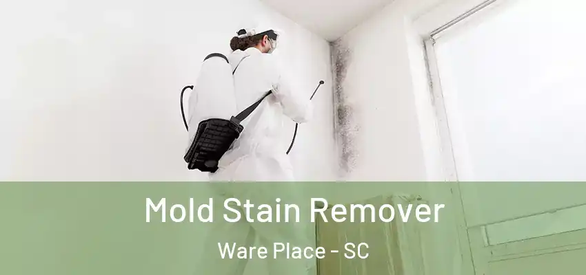 Mold Stain Remover Ware Place - SC