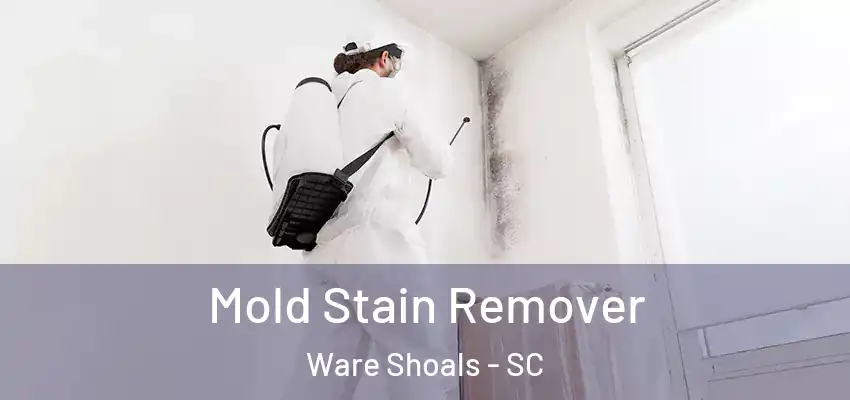  Mold Stain Remover Ware Shoals - SC