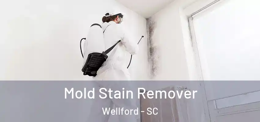  Mold Stain Remover Wellford - SC